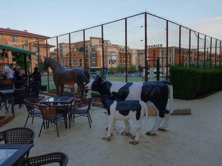 Panorama Dreams Sveti Vlas Exterior foto
